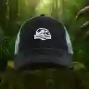Gorra Serie Jurassic World Mesh Miniso