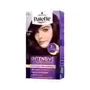 Palette Tinte Intensive Color Creme Violeta Rojizo 4-90 100 mL