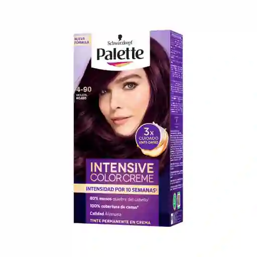 Palette Tinte Intensive Color Creme Violeta Rojizo 4-90 100 mL