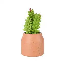 Maceta Cactus Terracota Diseño 0002 Casaideas