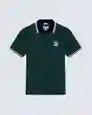 Polo Hombre Verde Talla XL 809G004_VER195406 Americanino
