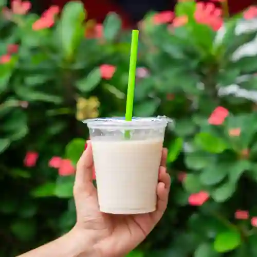 Avena