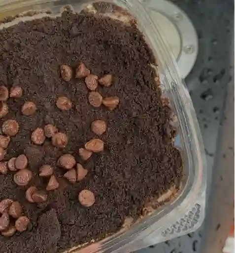 Napoleon tasty sm