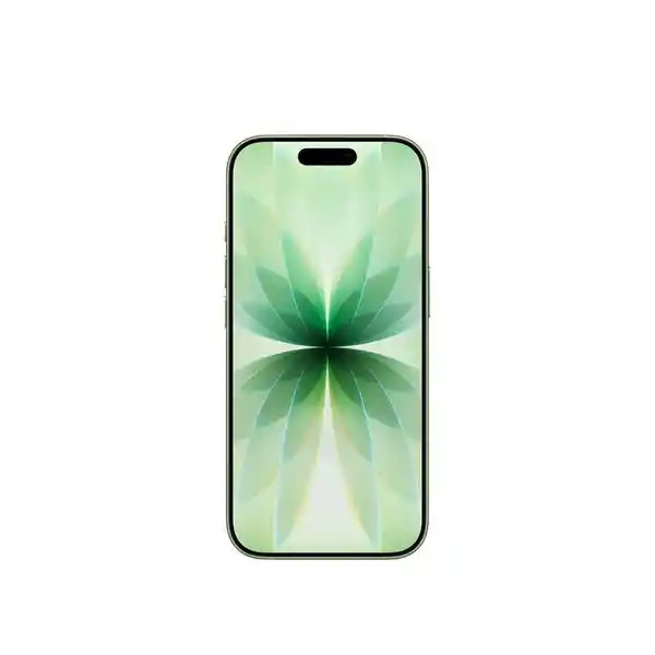 Apple iPhone 17 512Gb Sage