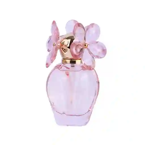 Perfume Para Mujer Miss Daisy Miniso