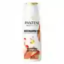 Shampoo Anticaída+ Pantene Biotinamina B3 Cabello Débil 300 mL