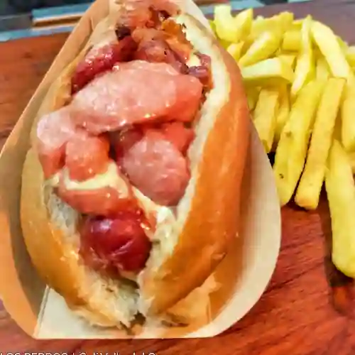 Perro Ranchero