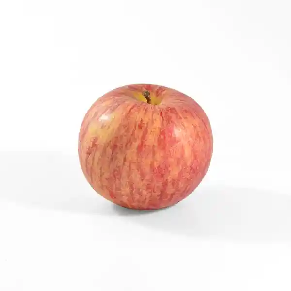 Manzana Gala