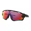 Oakley Gafas Jawbreaker Matte Black Prizm Road