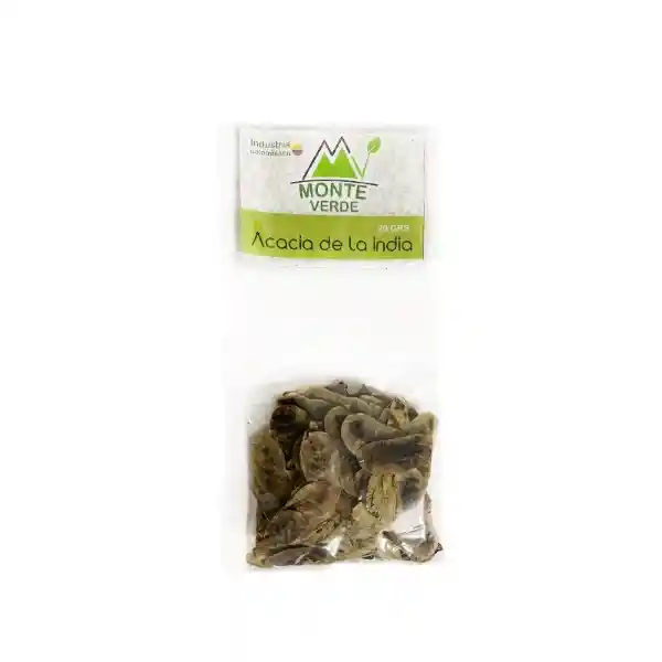 Monte Verde Acacia de la India