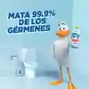 Pato Gel de Acción Profunda, Pino, Limpiador y desinfectante para inodoro, 500ml