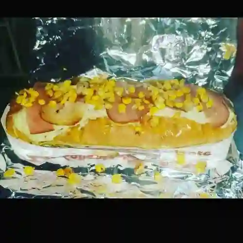 Perro Primavera