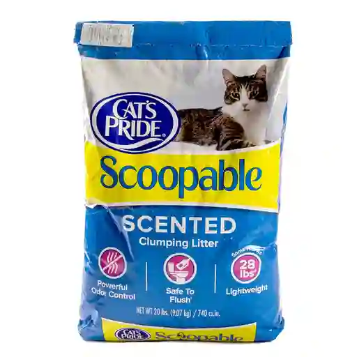 Cats Pride Scoopable 10 Lb