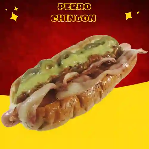 Perro Chingon