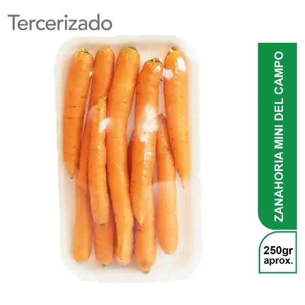 Zanahoria Mini Del Campo Turbo