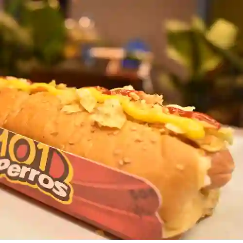 Perro 101