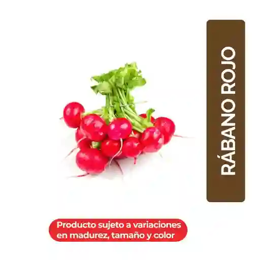 Biohuerto Rábano Rojo Orgánico