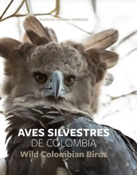 Aves Silvestres de Colombia