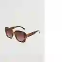 Gafas de Sol Rose Chocolate Mujer Mango