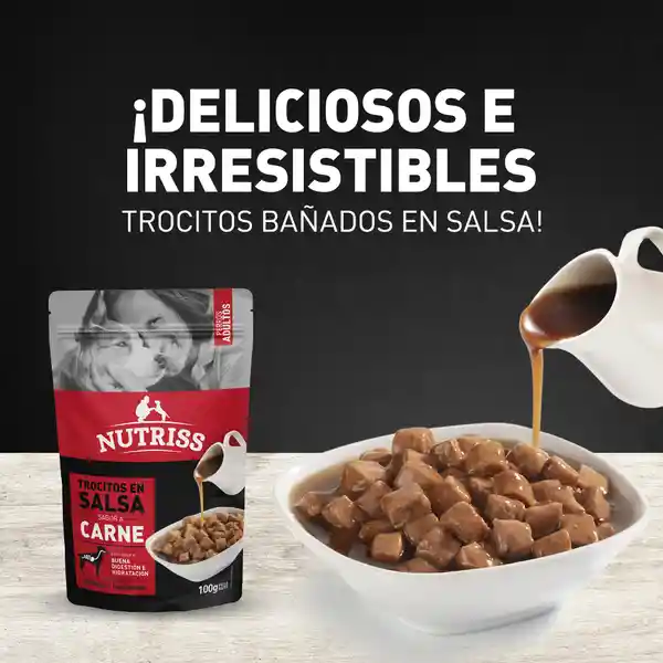 Nutriss Alimento Para Perro Adulto Salsa Carne