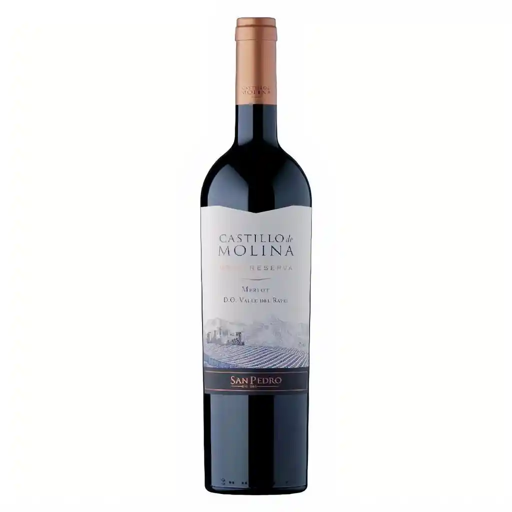 Castillo De Molina Vino Tinto Merlot