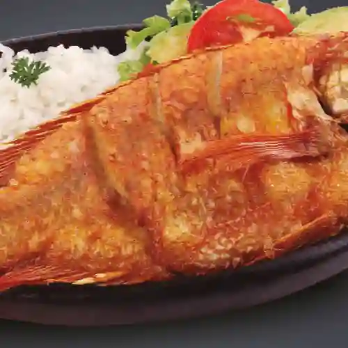 Mojarra Frita