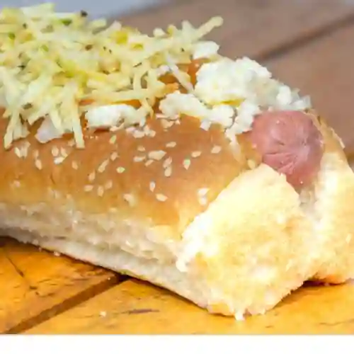 Perro Sencillo
