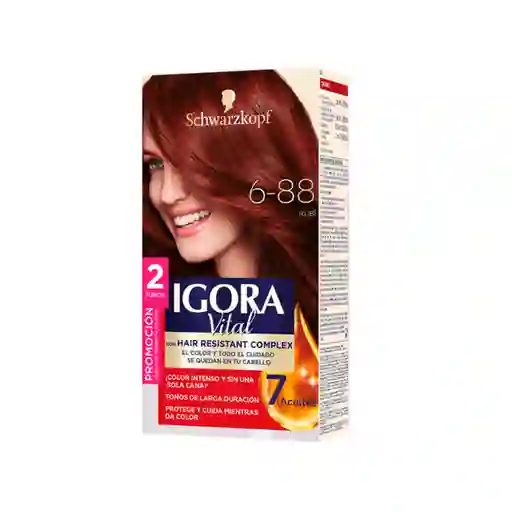 Tinte Igora Vital 6-88 Rubi