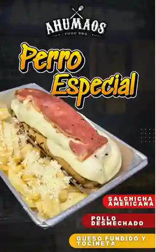 Perro Especial