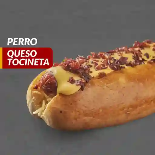 Perro queso tocineta