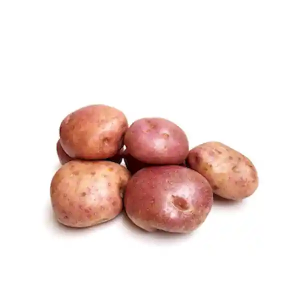 Members Selection Papa Pastusa