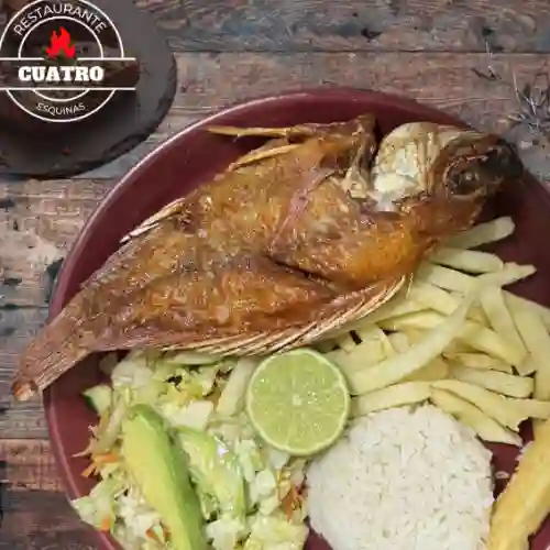 Mojarrita