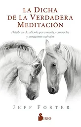 La Dicha de la Verdadera Meditación - Jeff Foster