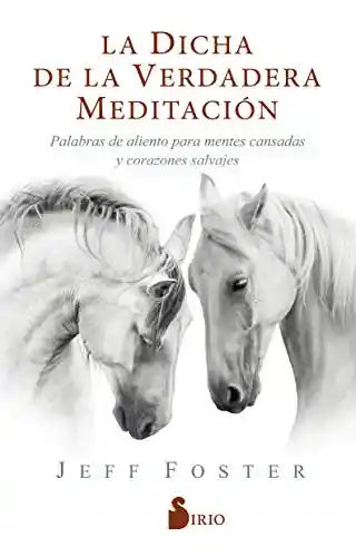 La Dicha de la Verdadera Meditación - Jeff Foster