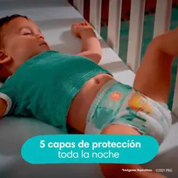 Pampers Baby Dry Pañales Talla 6