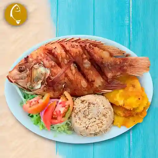 Mojarra frita