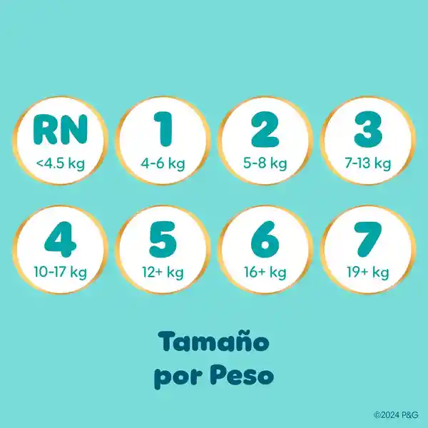 Pampers Swaddlers Pañal Desechables Etapa 6 16 Und​