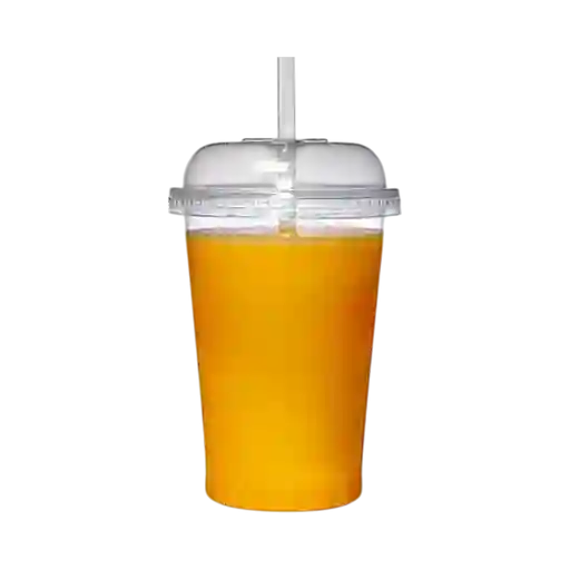 Jugo Natural de Durazno 16 Onzas