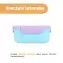 Contenedor Para Alimentos Compartimentos Morado y Verde Miniso