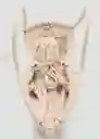 Bolso P Emilia Offwhite Talla 99 Mujer Mango