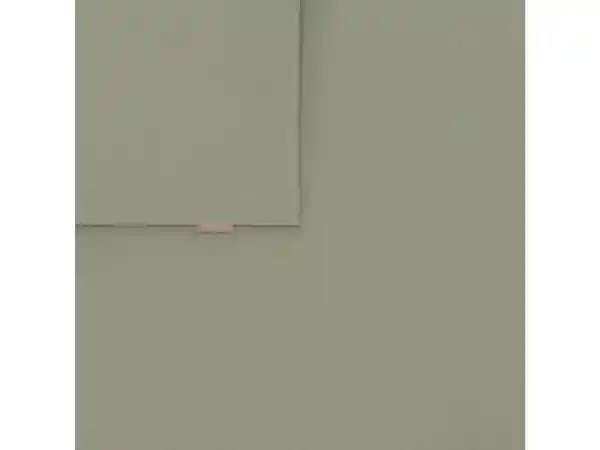 Funda Almohada Algodón Básico Color 50 x 70 cm Casaideas