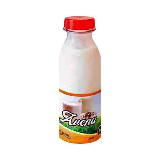 Avena