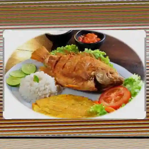 Tilapia