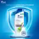 Head & Shoulders Shampoo Dermo Sensitive Sábila