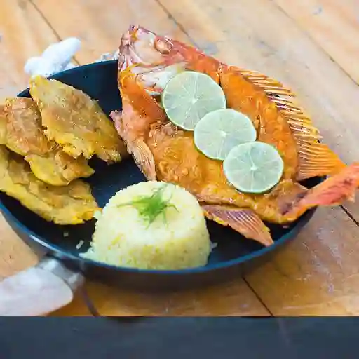 Mojarra Frita