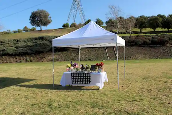 Toldo de poliester Impact 10ftx10ft