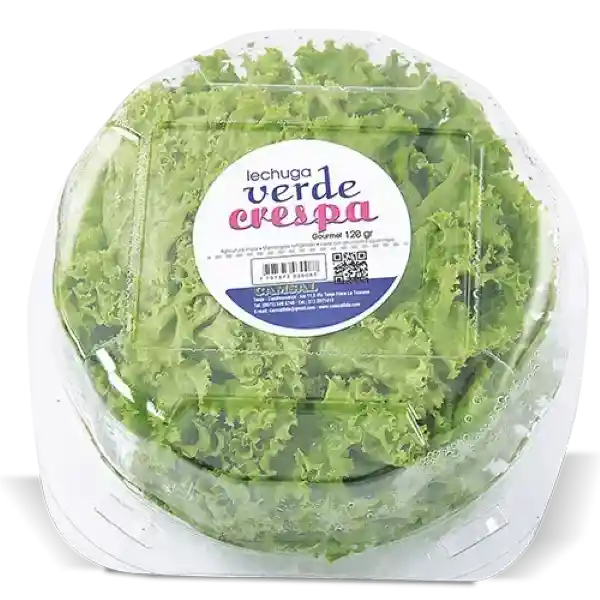 Lechuga
