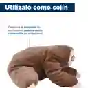 Peluche Oso Perezoso Mediano Café Miniso