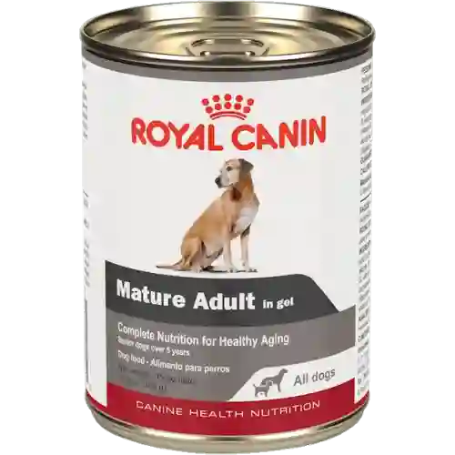 Royal Canin Alimento Para Perro Mature