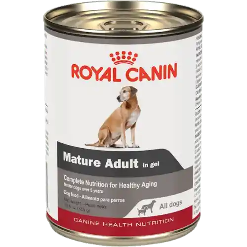 Royal Canin Alimento Para Perro Mature